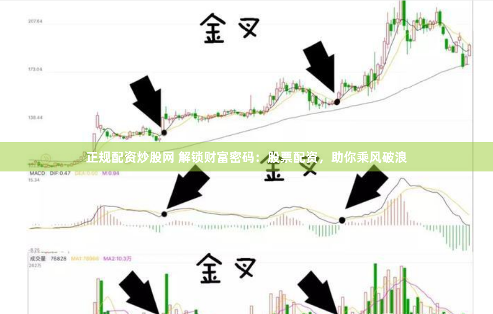 正规配资炒股网 解锁财富密码：股票配资，助你乘风破浪