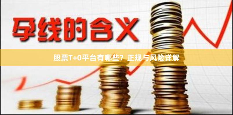 股票T+0平台有哪些？正规与风险详解