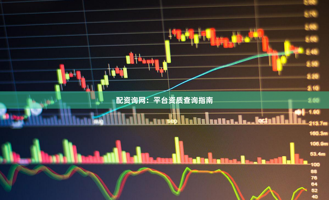 配资询网:平台资质查询指南